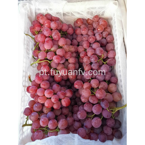 Abastecimento de preços de uvas de Yunnan